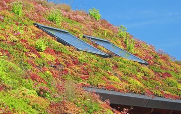 Curry Rivel living roof systems